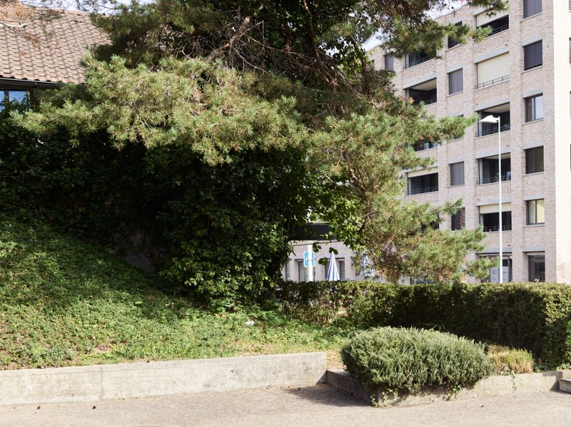 Wohnüberbauung Flo + Fleur, Thomasweg, Liebefeld – Abenteuer im Liebefeld – Aebi & Vincent Architekten, Fotografie: Adrian Scheidegger